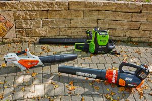 Best Leaf Blowers for Gutters