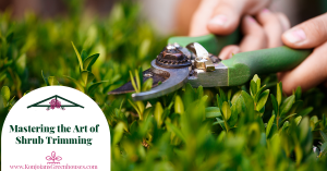 How to Use Pruning Shears